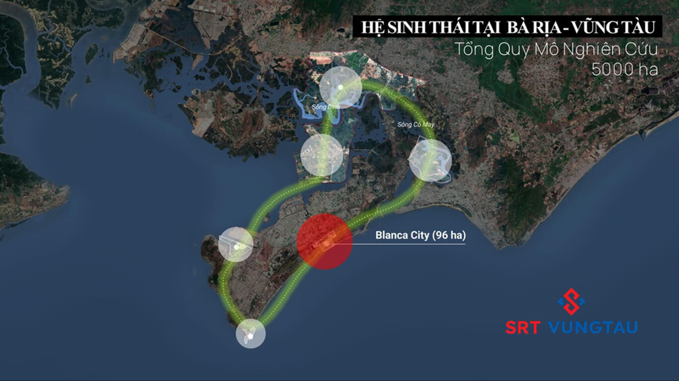 Nghiên cứu triển khai dự án Sun Group vũng tàu